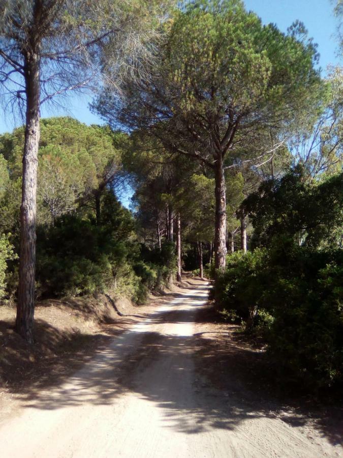 Appartamento Vacanze Sardegna Siniscola Buitenkant foto